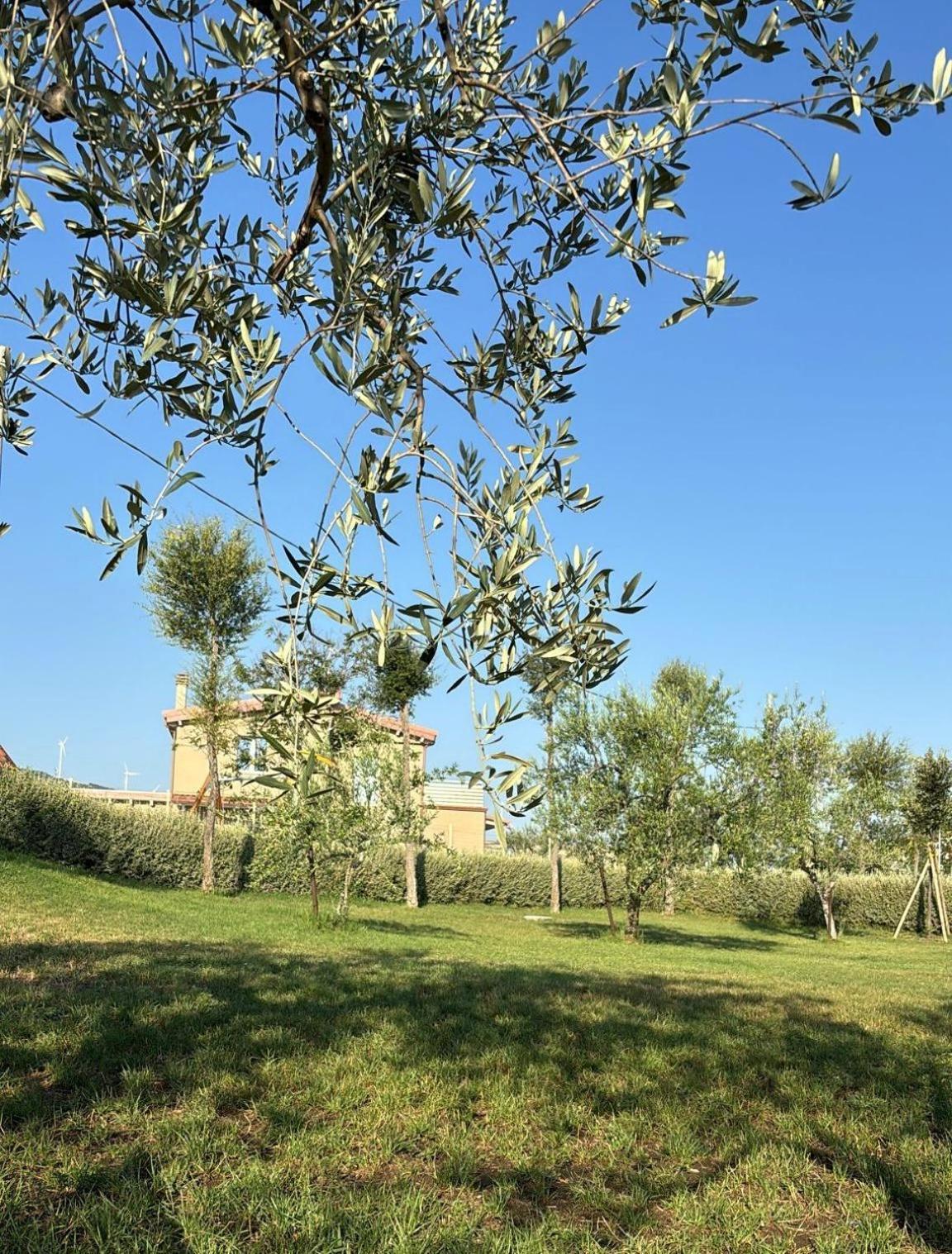 Masseria Spinale Wine Resort Melfi Dış mekan fotoğraf